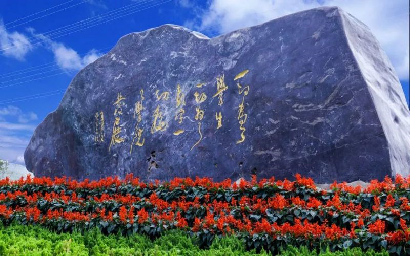 景观石