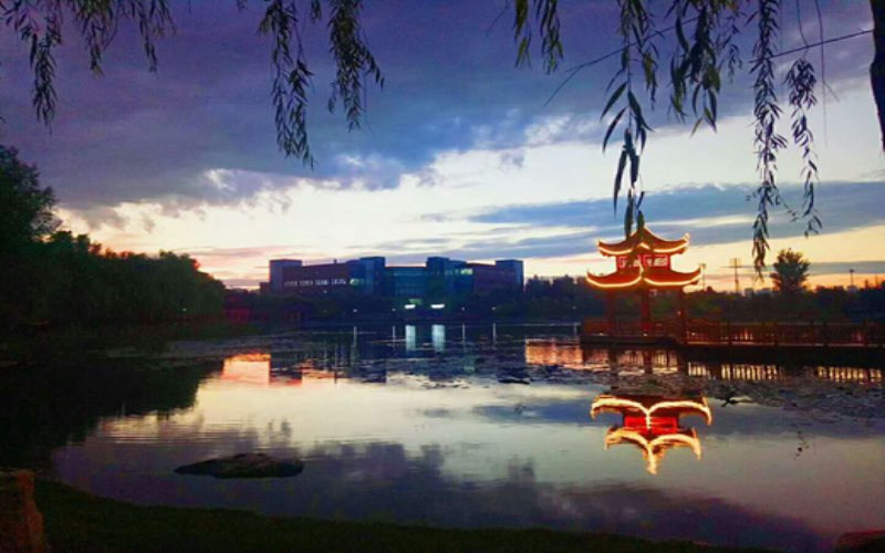 辽宁中医药大学杏林学院首页