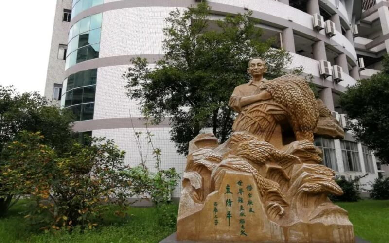 景观石