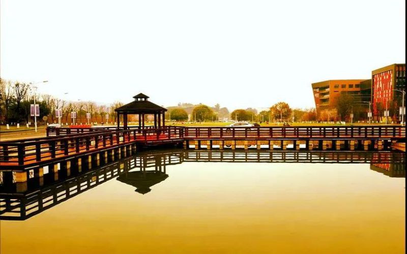 午后校园