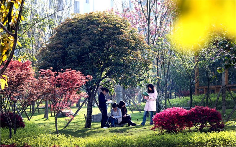 自习场景