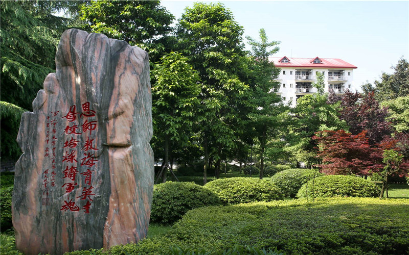 景观石