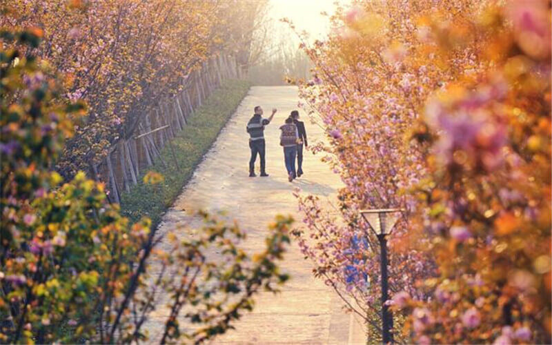 校园秋景