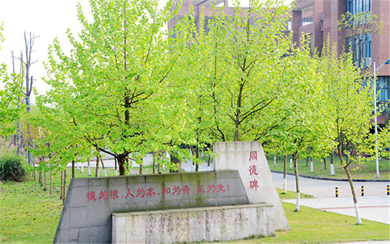 景观石