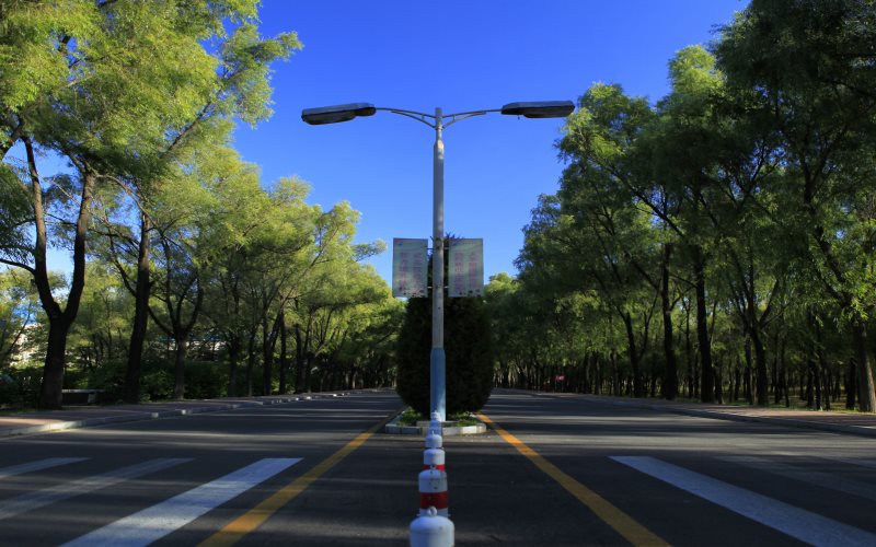 学院景色