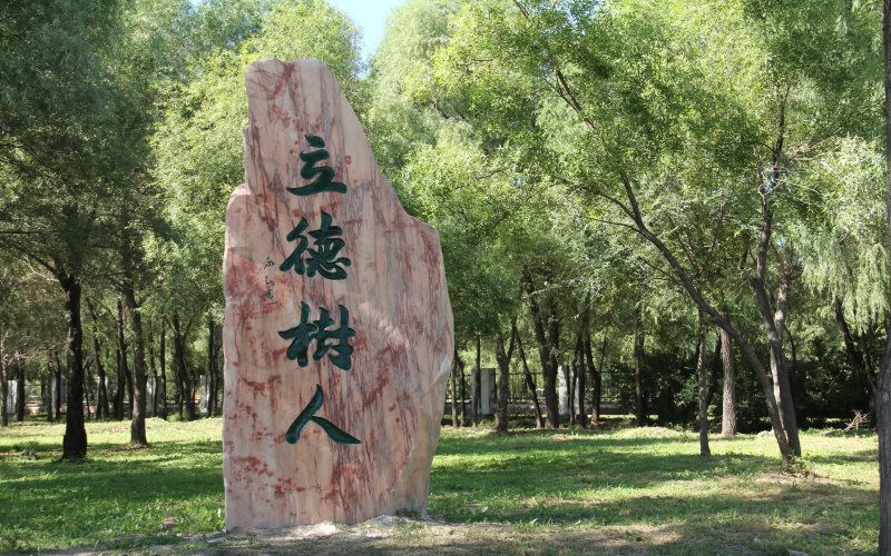 景观石