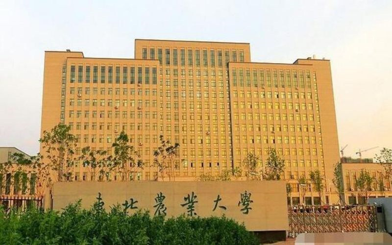 东北农业大学首页