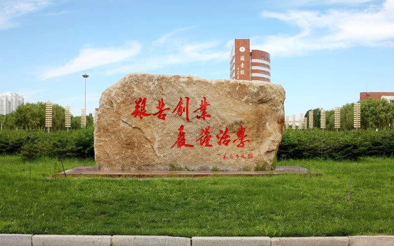 景观石