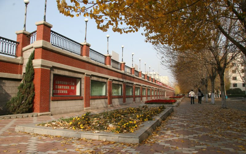 金色校园