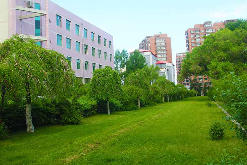 学院绿化