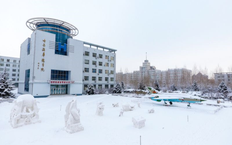 学院冬景