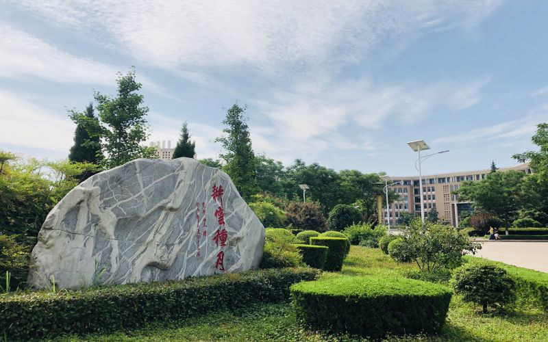 校园景观石