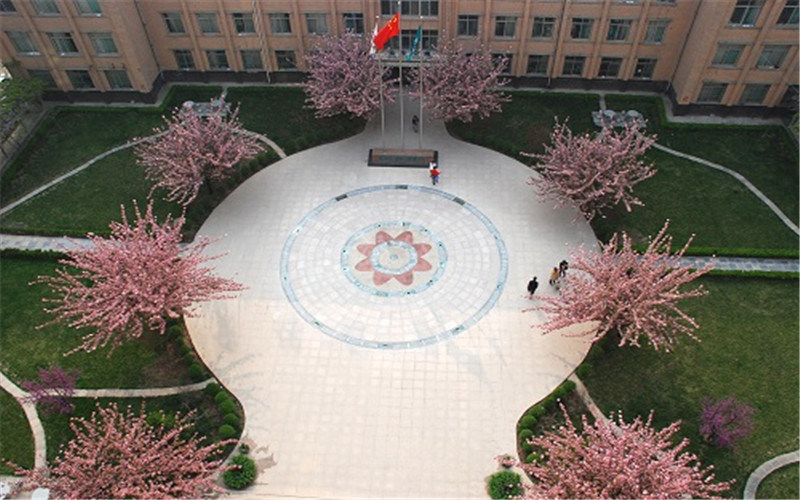 俯瞰校园