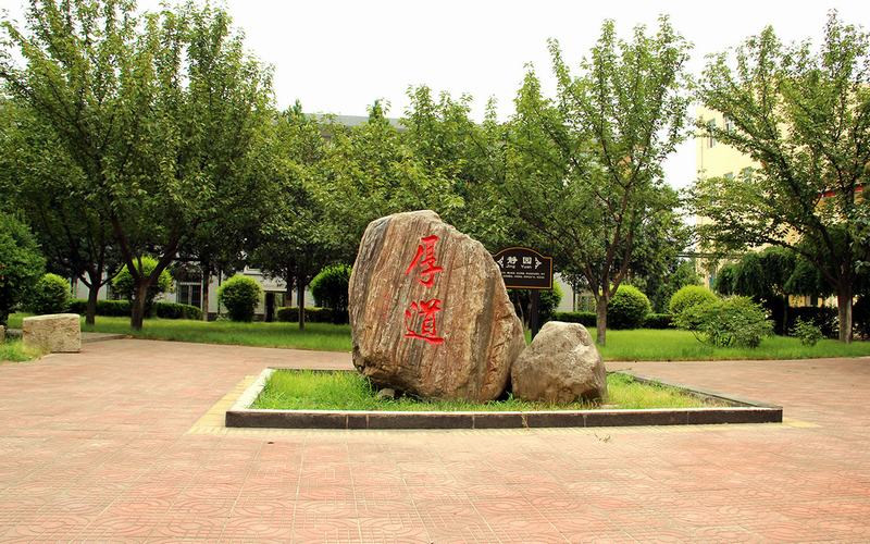 景观石