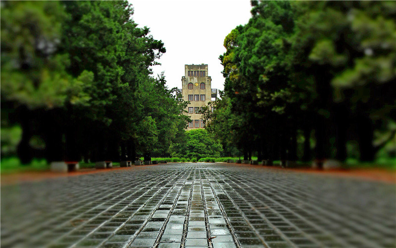 雨后校园