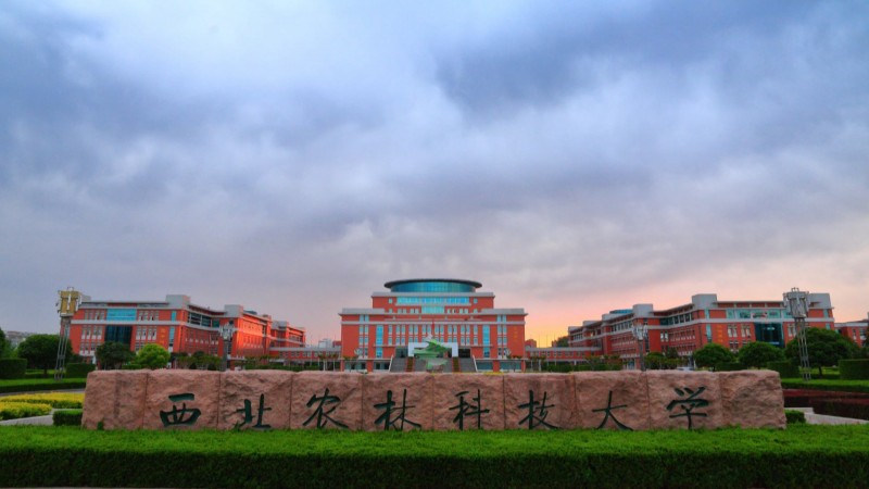 西北农林科技大学首页