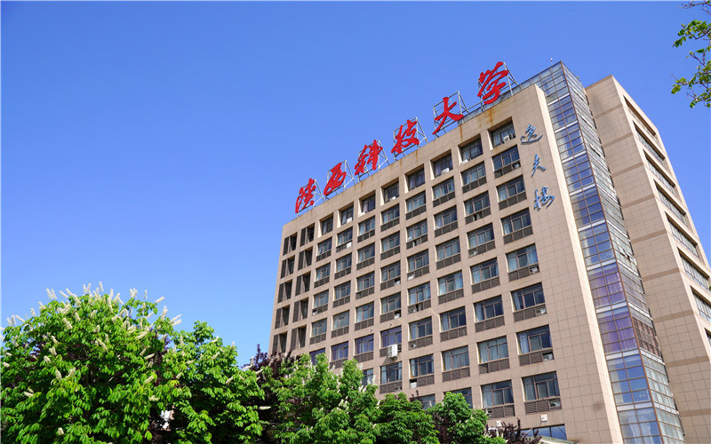 校园建筑