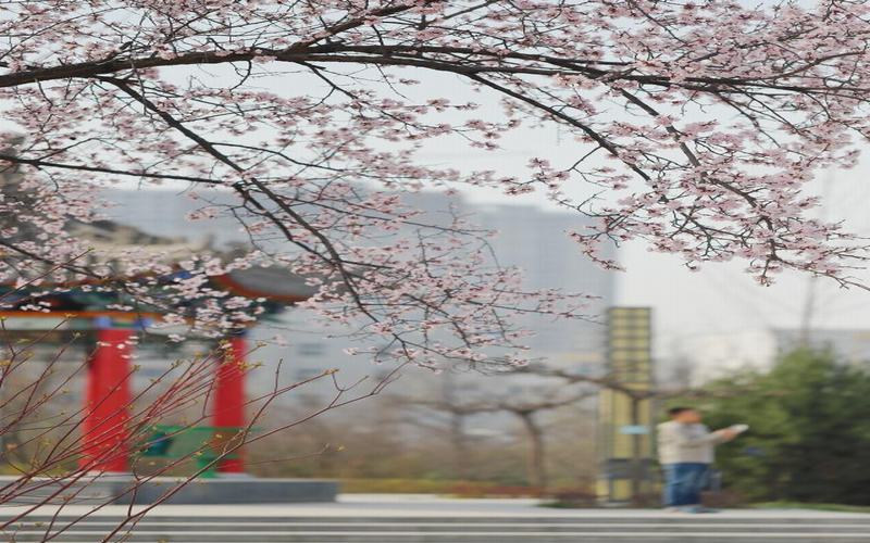 风景图片