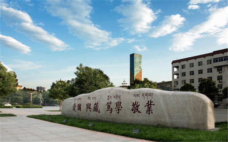 景观石