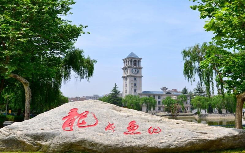 景观石