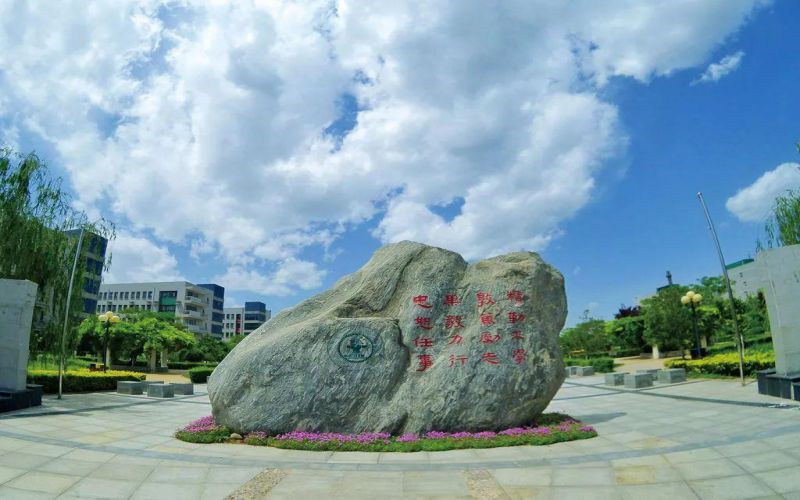 景观石