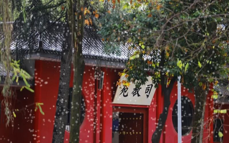 校园景色