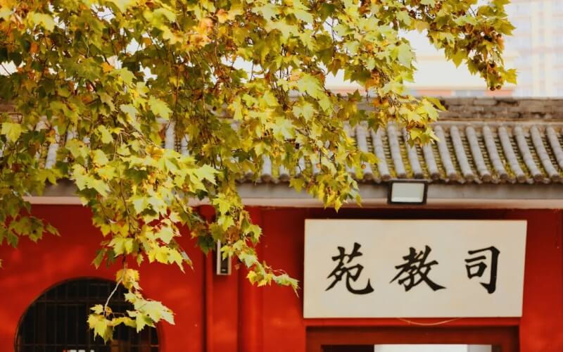 苑教司