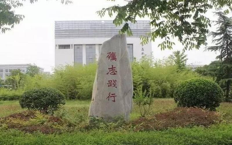 景观石