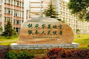 湖南中医药大学学费一年多少钱