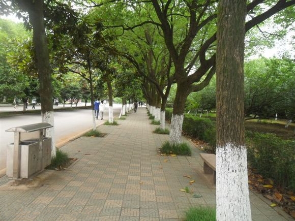 湖南科技大学潇湘学院有哪些专业比较好