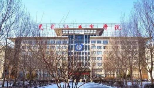 黑龙江工商学院学费一年多少钱?