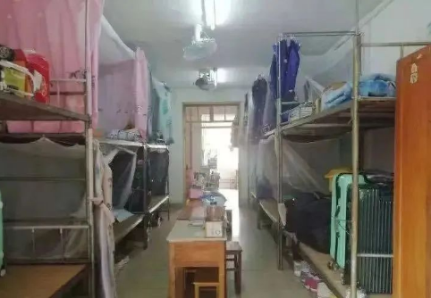 上下床