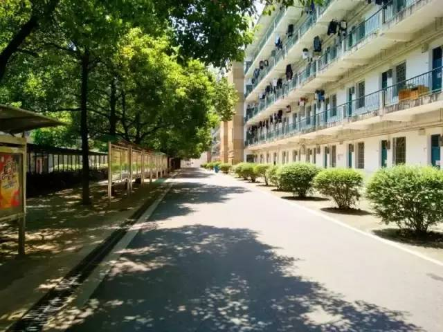 芷兰寝室群