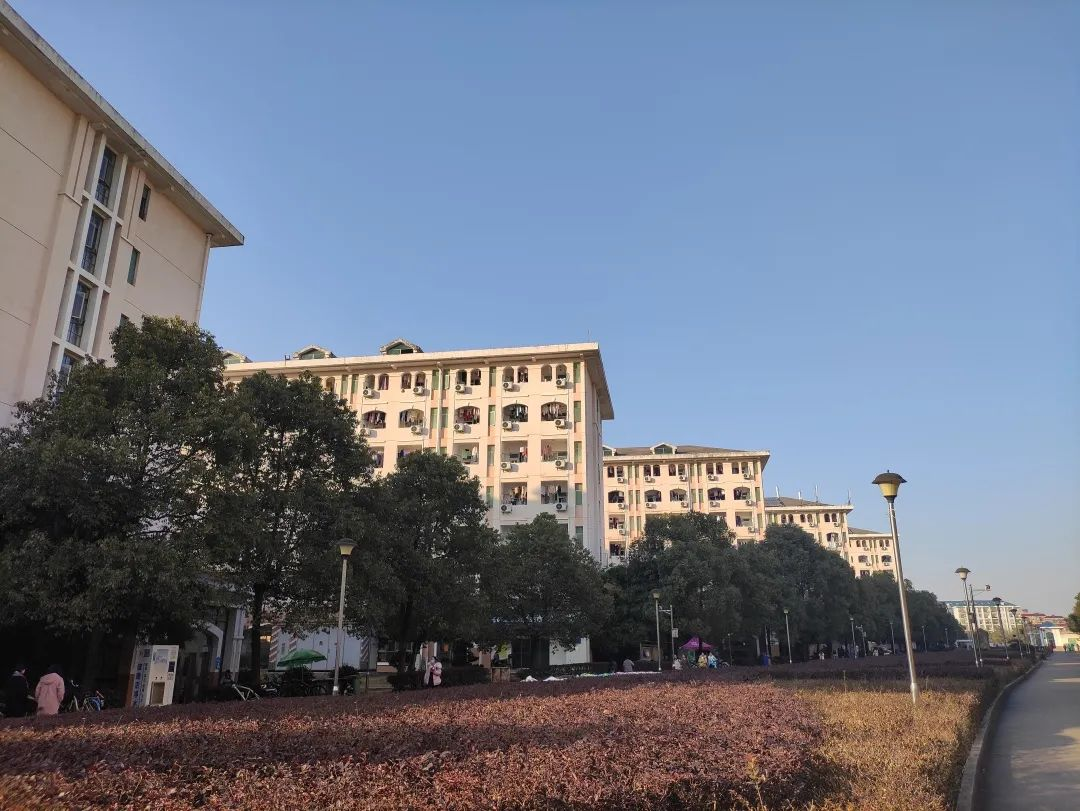 琴湖学生公寓