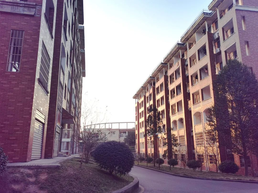 八区宿舍