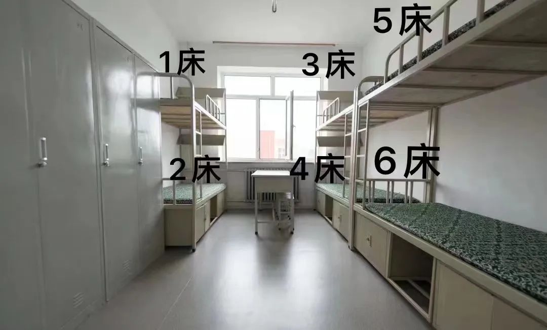 上下床