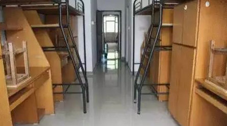 桃苑四人间