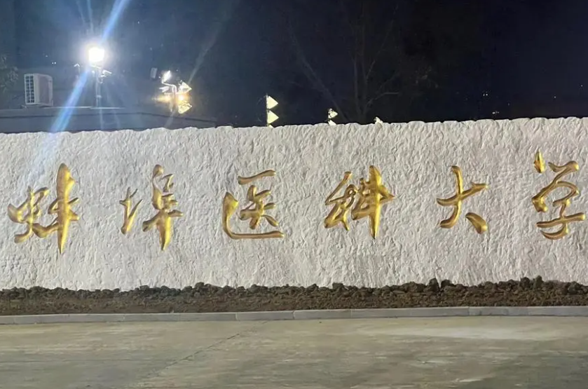 2025年蚌埠医科大学专升本招生专业介绍