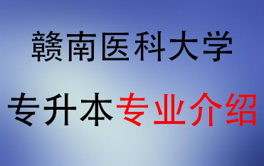 2025年赣南医科大学专升本招生专业介绍