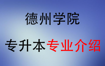 2025年德州学院专升本招生专业介绍