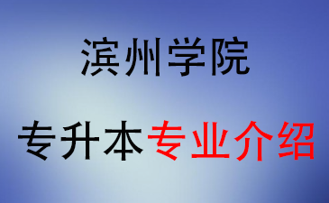 2025年滨州学院专升本招生专业介绍