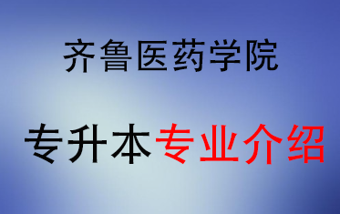 2025年齐鲁医药学院专升本招生专业介绍
