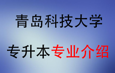 2025年青岛科技大学专升本招生专业介绍