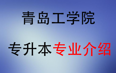 2025年青岛工学院专升本招生专业介绍