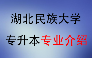 2025年湖北民族大学专升本招生专业介绍