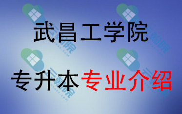 2025年武昌工学院专升本招生专业介绍