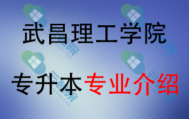 2025年武昌理工学院专升本招生专业介绍