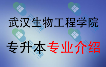 2025年武汉生物工程学院专升本招生专业介绍