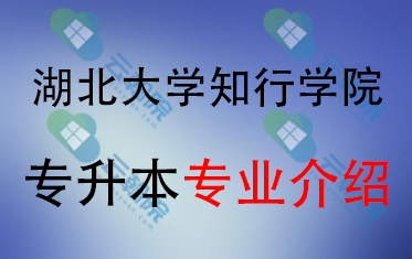 2025年湖北大学知行学院专升本招生专业介绍