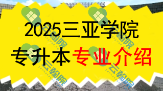 2025年三亚学院专升本招生专业介绍